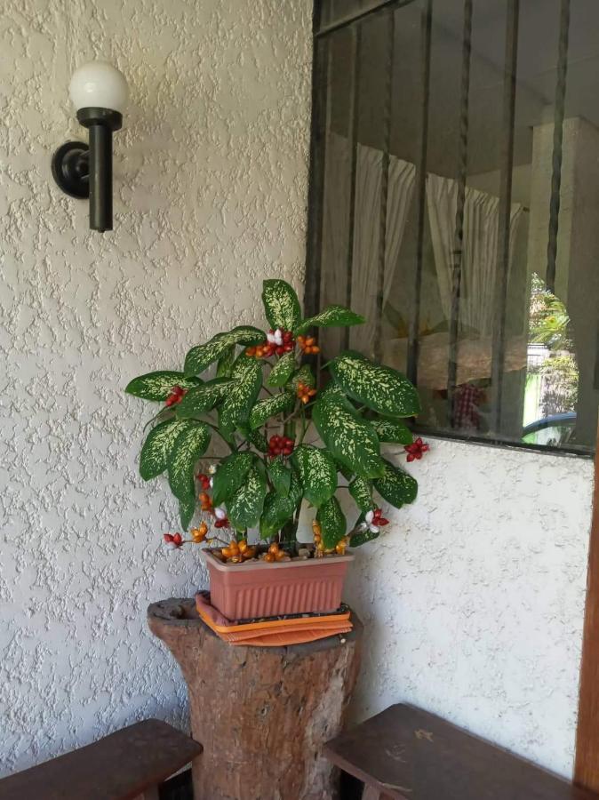 Casa Joaquin Bnb Тагуиг Екстериор снимка